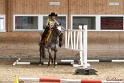 26-ApHC GT_242
